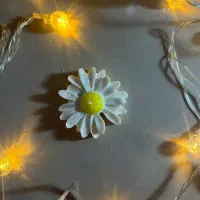 اموزش صفر تا صد شمعسازی فقط ۲۵۰ تومن به مدت محدود|خدمات آموزشی|رشت, گلسار|دیوار