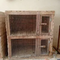 قفس جفت گاه دوطبق ونشیمن گاه