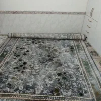 قالی 700شانه خشک|فرش|جوانرود, |دیوار