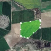 اجاره زمین مزروعی ۲ هکتار