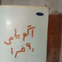 دوستان یخچال برای فروش دارم|یخچال و فریزر|بیکاه, |دیوار
