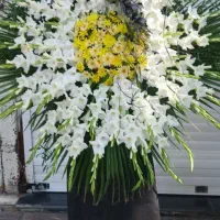 سفارشات انلاین گل آرایی با سابقه بالا .|خدمات پذیرایی، مراسم|مرودشت, پشت سایپا|دیوار