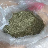 بابونه تازه.گل بابونه