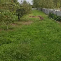 زمین ساحلی ۱۴۰۰ متری سند تک برگ تهاتر با تهران|فروش زمین و ملک کلنگی|چاف و چمخاله, |دیوار