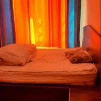 اجاره منزل مبله شیراز با قیمت مناسب|اجارهٔ کوتاه‌مدت آپارتمان و سوئیت|شیراز, سینما سعدی|دیوار