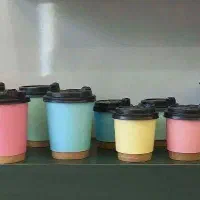 لیوان هالو دوجداره چرمی