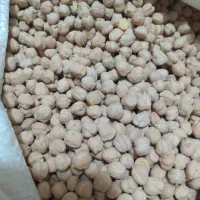 حبوبات|حراج|بومهن, |دیوار