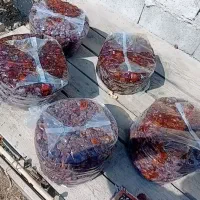 خرما
