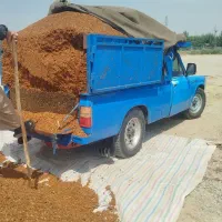 تفاله سیب و علوفه ذرت درجه یک