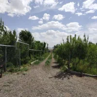 باغ بر اتوبان تهران دارای آب برق گاز|فروش زمین و ملک کلنگی|زنجان, |دیوار