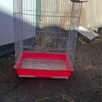 قفس و لونه دسته دوم|لوازم جانبی حیوانات|بیرجند, |دیوار