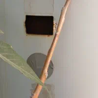 آبگرمکن