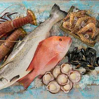 دستگاه‌های خشک‌کن میوه ترکیبی حرارت انجماد|ماشین‌آلات صنعتی|کرمان, |دیوار