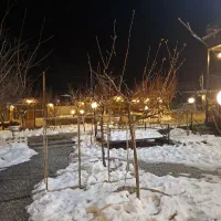 استخدام سالن کار