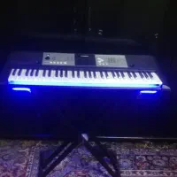 ارگ کاملا سالم