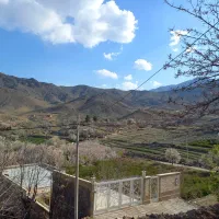 سوئیت-نیاسر