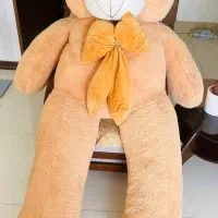 خرس 2 متری خارجی (شاسخین)