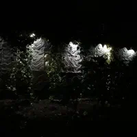 دریا|تور و چارتر|تهران, پردیسان|دیوار