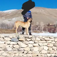 ۱۵۰۰۰۰۰۰۰میلیون