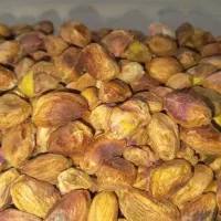 خریدار مغز پسته
