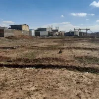 زمین گلبرگ ۷