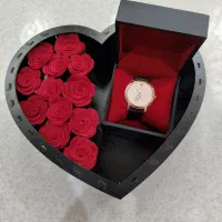 رومانسون 2موتوره کادو روز پدر و مرد