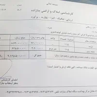 قواره زمین در خیابان امام رضا