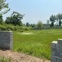 زمین مسکونی در پاشاکی (سیاهکل)