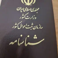 شناسنامه گمشده