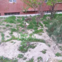 نظافت منزل و پارکینگ و راه پله بیل زدن باغچه