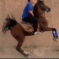 نریون شجره دار