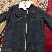 کت لی داخل خزدار