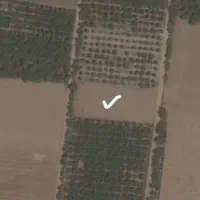 زمین-کشاورزی-1000متری-قابل-تفکیک