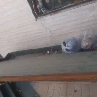 فروش پالت میوه|فروشگاه و مغازه|پاکدشت, پاکدشت (مامازند)|دیوار