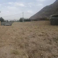 ۱۰۰۰ متر زمین سخوید