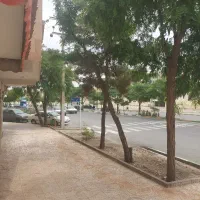 ۲۰۲ متر زمین لادن