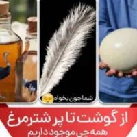 طلاالنگوگوشواره انگشترگردن بندحلقه بدلیجات نقره