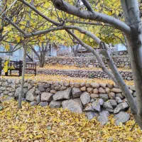 نیرو برای باغ رستوران (سفره خانه)