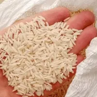 برنج هاشمی و طارم استان گیلان|خوردنی و آشامیدنی|تهران, صادقیه|دیوار