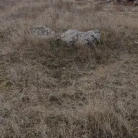 فروش-زمین-مسکونی