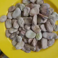 باقله کیلو۲۵۰