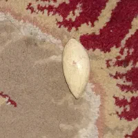 سنگ