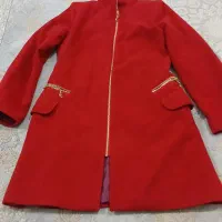 یک عددپالتو.ویک عددشونیز