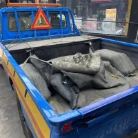 جرثقیل زامیاد یدک کش|خودرو سواری و وانت|تهران, چوب تراش|دیوار