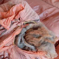 پشم|رختخواب، بالش، پتو|اندیمشک, |دیوار