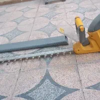 شمشاد زن و قطع شاخه برگ