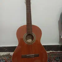 گیتار ایرانی M6x