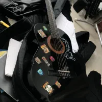 گیتار کلاسیک کاستوم متالیکا