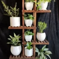 استندگل رگال لباس جاکفشی