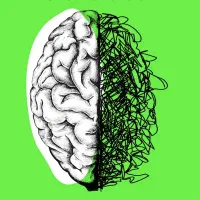 مثل یه برنده یاد بگیر